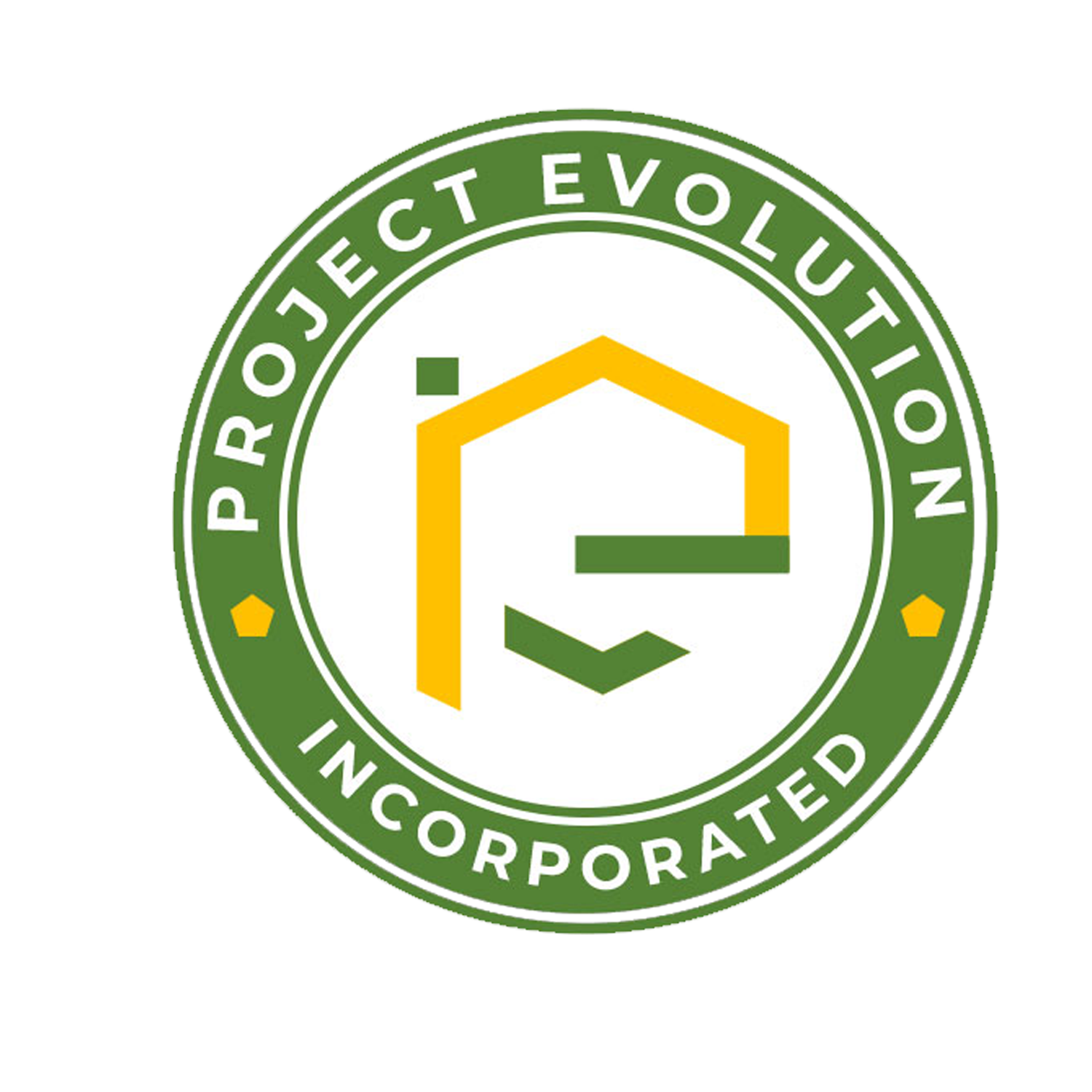 Project Evolution Logo